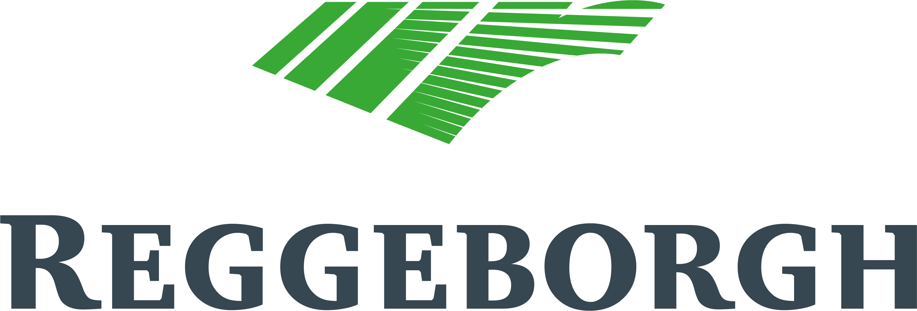 Reggeborgh